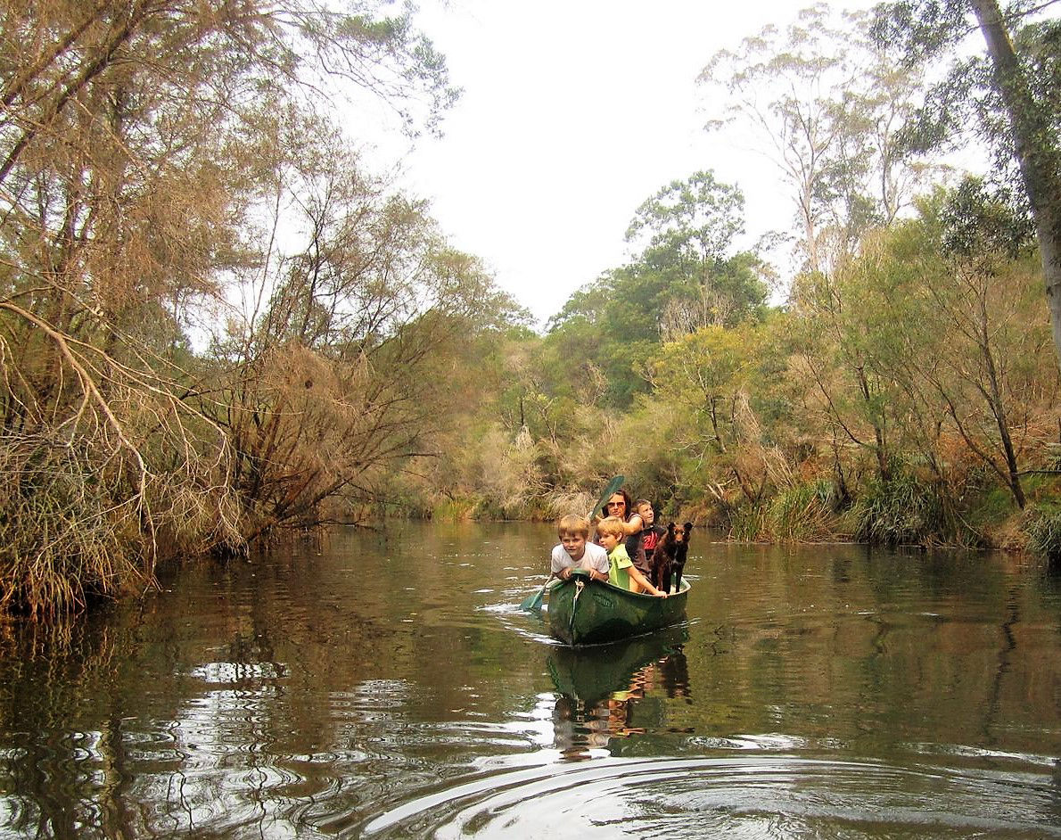 What are the Noosa Everglades?