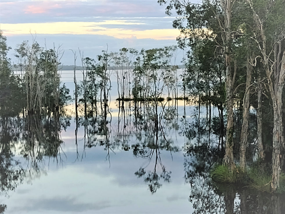 River of Mirrors -  Noosa Everglades