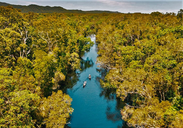 Bird watchin Noosa Everglades