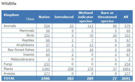 Noosa Everglades Flora & Fauna